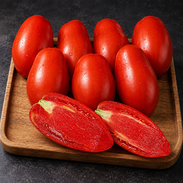 530 Perino Grosso Tomato, 5 Seeds