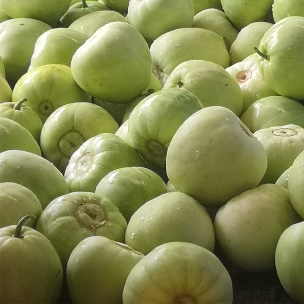 Japanese Sweet Treasure Melon Seeds, 80 Seeds