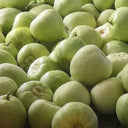 Japanese Sweet Treasure Melon Seeds, 80 Seeds