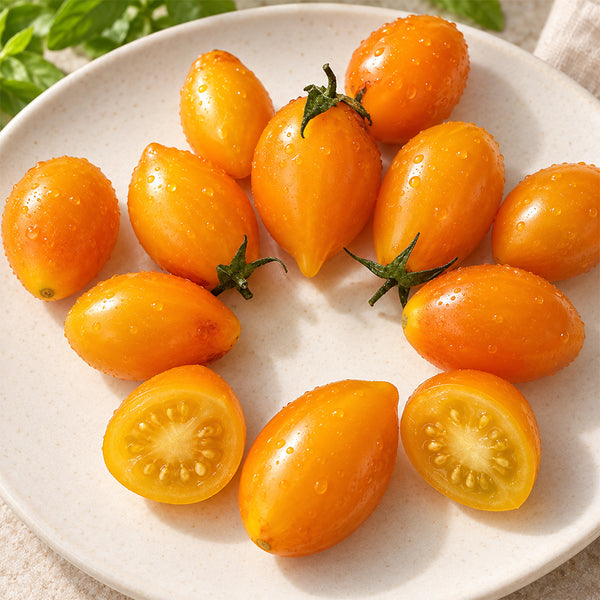 303 Blue Waterfall Gold Tomato, 5 Seeds