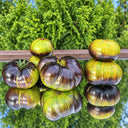 411 Xanadu Green Goddess Tomato, 5 Seeds