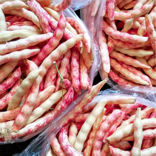 Red Golden Hook Kidney Bean Seeds, 10g Per Bag