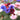 Hezhichun Mixed Color Cornflower Seeds, 1g