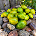 263 Variegated Green Banana Tomato, 5 Seeds