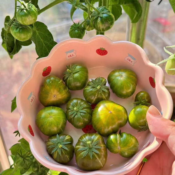 604 Eden Micro No. 4 Tomato, 3 Seeds