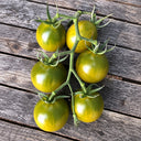 192 Green Honey Tomato, 5 Seeds