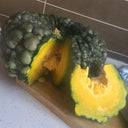 Thai 'Gold Coin' Pumpkin Seeds, 10 Seeds