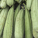 Jiemei Speckled Ridge Gourd, 20 Seeds