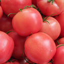 Jinpeng No.3 Tomato F1 Seeds, 5g
