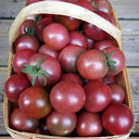Reinhard Kraft's Purple Sugar Cherry Tomato, 5 Seeds