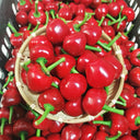 Jinjiao Hongtanzi Chili Pepper Seeds