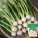 Xiatong No.2 F1 Turnip Seeds, 10g