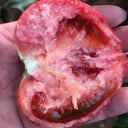 Super Sweet Pink Beauty Tomato, 20 Seeds