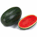 'Midnight Emperor' Black Beauty Watermelon Seeds, 10 Seeds