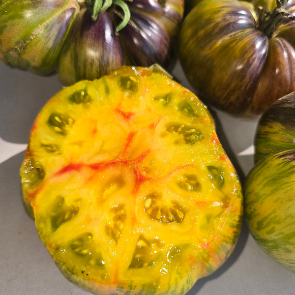 998 Eden Selection No. 9 F6 Tomato, 5 Seeds