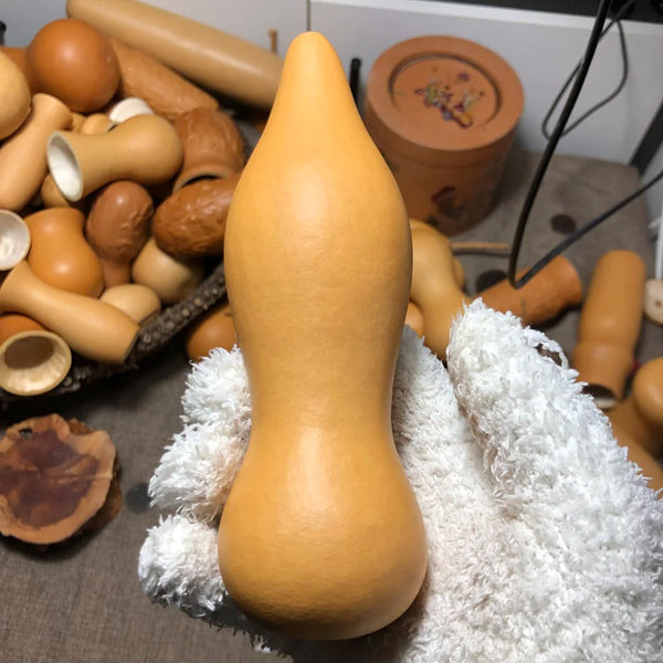 'Ben Zhang' Gourd, 10 Seeds