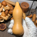 'Ben Zhang' Gourd, 10 Seeds