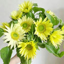 'Lotus Emergence' Sunflower, 10 Seeds