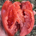 Super Sweet Mango Honey Tomato, 10 Seeds