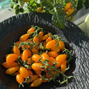 999 Eden Micro 6 Tomato, 5 Seeds