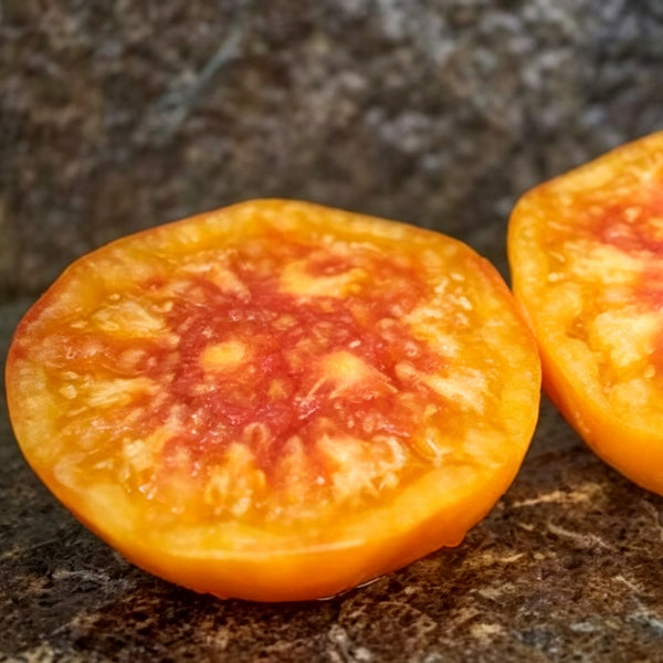 879 Southern Pride Tomato, 5 Seeds