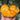 703 Orange Happiness Ukrainian Tomato, 5 Seeds