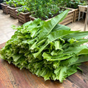 Nongyan Pointed-Leaf Romaine Lettuce Seeds, 10g