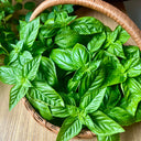 Giant Leaf Basil Seeds, 200 Seeds