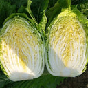 'Jiaoyan Qiubao' Chinese Cabbage Seeds, 10g