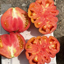 'Firenza' Ribbed Tomato, 10 Seeds