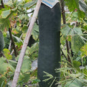 Iron-Heart Black Missile Winter Melon, 50 Seeds