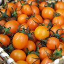 Golden Emperor Cherry Tomato, 200 Seeds