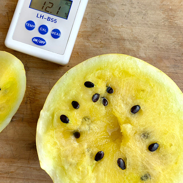 'Golden Baby' Watermelon Seeds