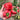 Pink Peach Fruit Tomato Seeds, 0.5g