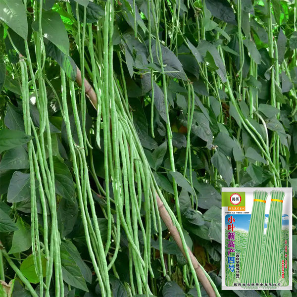 Small-Leaf High-Yield No.4 Long Bean Seeds, 20g
