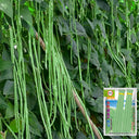 Small-Leaf High-Yield No.4 Long Bean Seeds, 20g