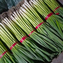 Leek Seeds, 2000 Seeds