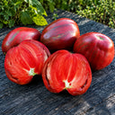 301 Olympic Champion Tomato, 5 Seeds