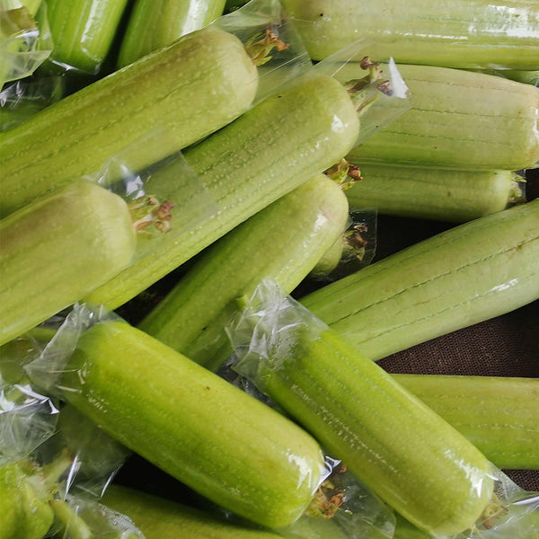 'Xiangyubai' Luffa Seeds, 10g