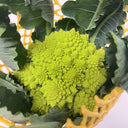 Green Romanesco, 10 Coated Seeds