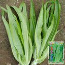 Nongyan Pointed-Leaf Romaine Lettuce Seeds, 10g