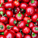 Red Hot Cherry Pepper, 15 Seeds