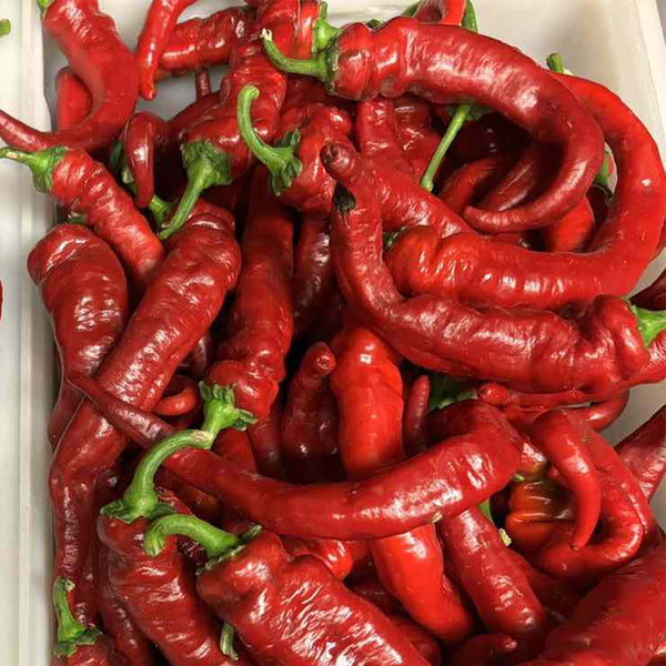 Jimmy Nardello Pepper, 10 Seeds