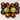 438 Muddy Waters Tomato, 5 Seeds