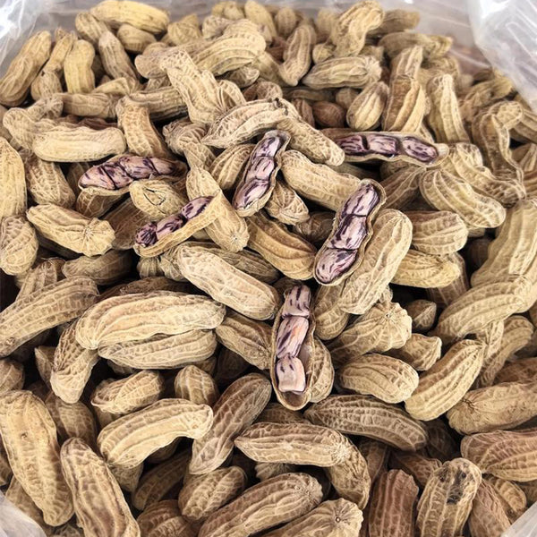 Rainbow Peanut, 20 Seeds