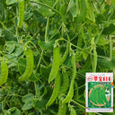 'Cuibao 616' Snow Pea Seeds, 30g