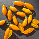 2025 Sweet Orange Cat F4 Tomato, 5 Seeds