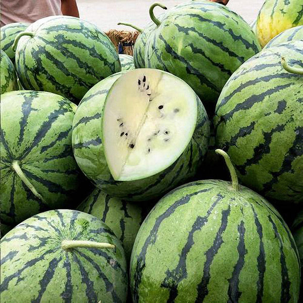 Snow Pear White Watermelon Seeds, 10g