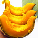Fushun Ribbed Ugly Pumpkin, 10 Seeds