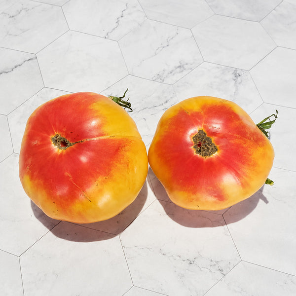 98 Mermaid Tomato, 5 Seeds